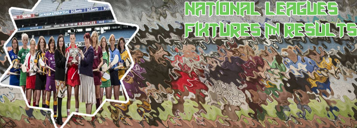 Camogie results