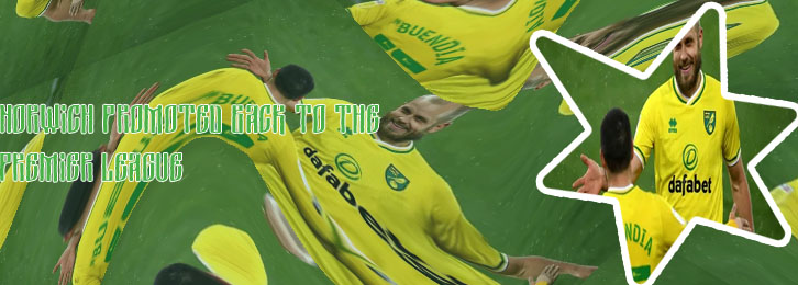 Norwich city promotion